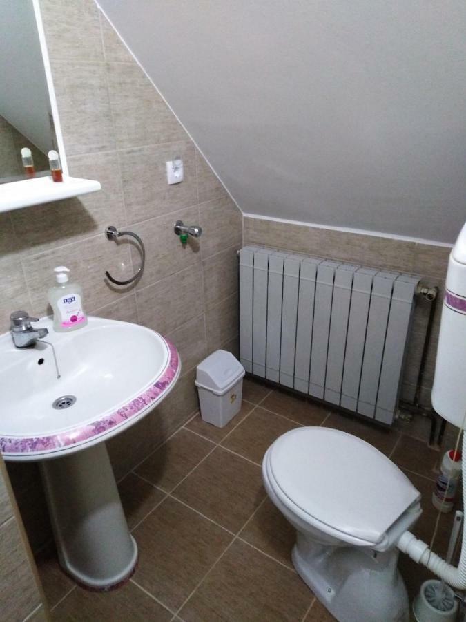 Guest House Aleksandra Bajina Basta Dış mekan fotoğraf